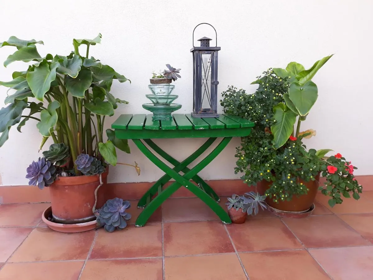 Atico El Rinconcillo Apartment Torrox